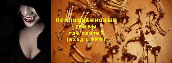 шишки Белоозёрский