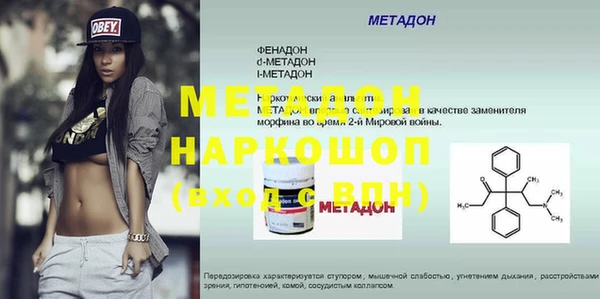 прущие грибы Белокуриха