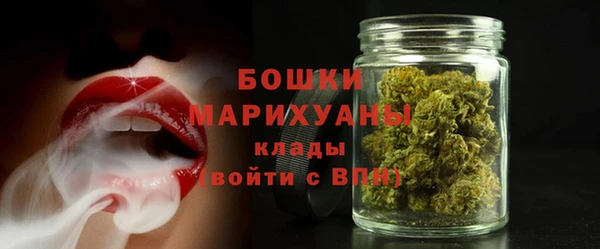 шишки Белоозёрский