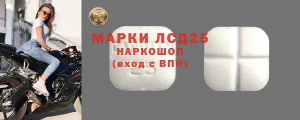 шишки Белоозёрский