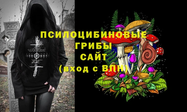 синтетический гашиш Новодвинск