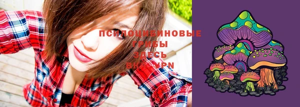 шишки Белоозёрский